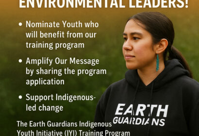 Calling Youth Leaders!!