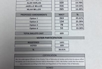 General Election Results 2025